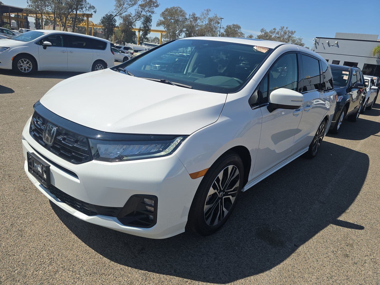 2026 Odyssey Elite — Honda Odyssey reference photo