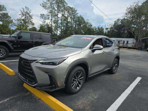 2025 Lexus NX NX 250 photo