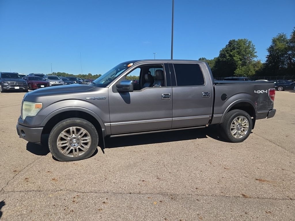 2009 Ford F-150 photo