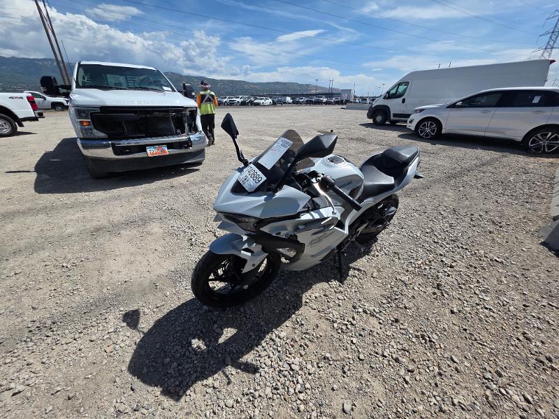 2024 Kawasaki Ninja 500 photo