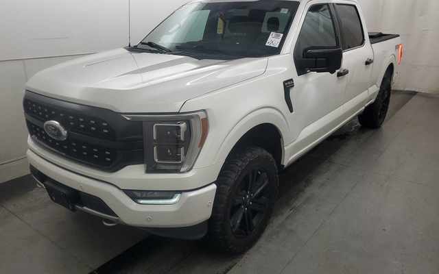 2021 Ford F-150 Platinum photo