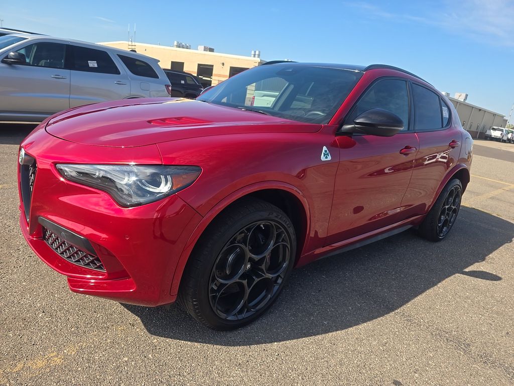 2024 Alfa Romeo Stelvio Quad Carb photo